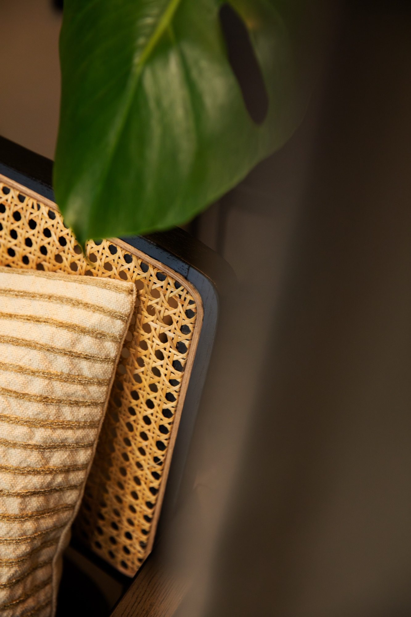 details_MG_0293-Enhanced-NR-2000px